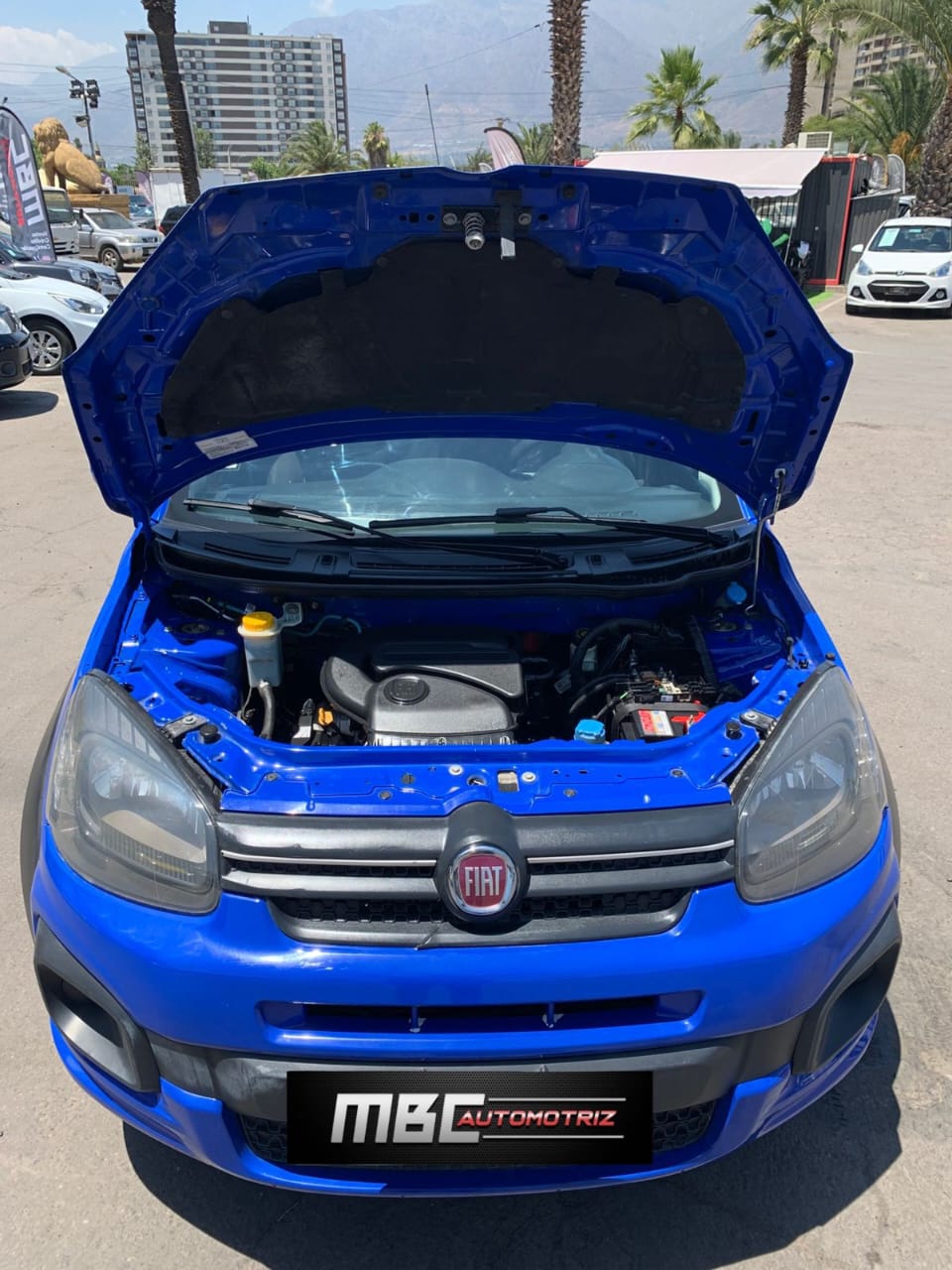 WhatsApp Image 2024-12-18 at 16.05.29 (4)