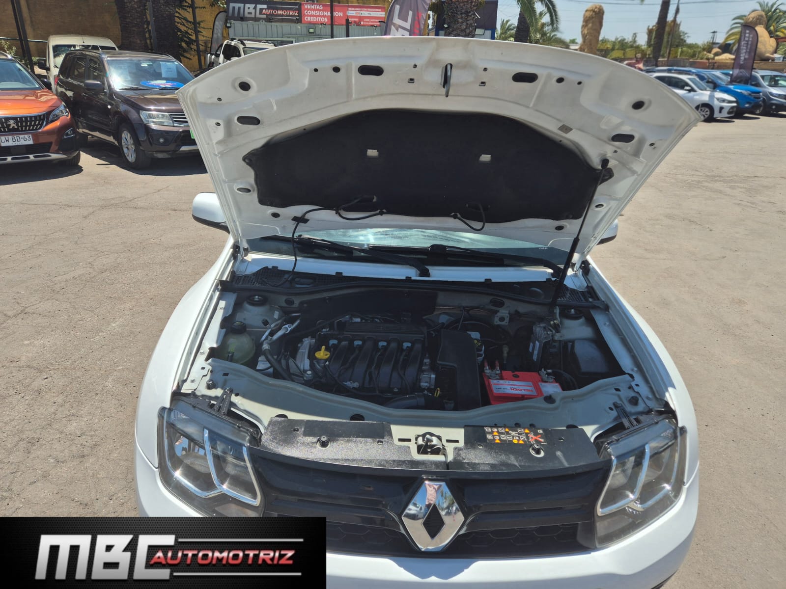 WhatsApp Image 2025-12-03 at 14.17.06 (3)