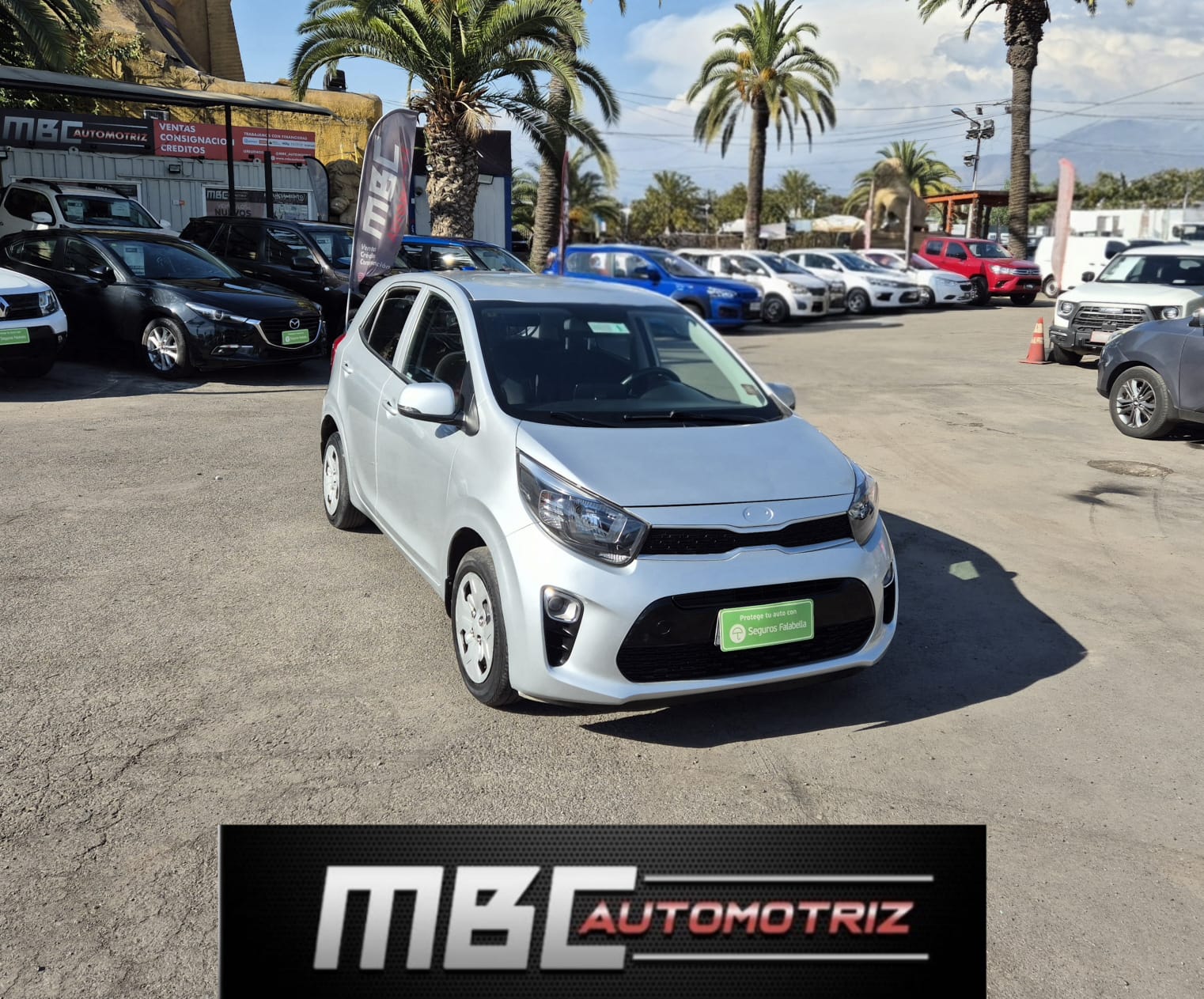 WhatsApp Image 2026-01-27 at 19.13.19