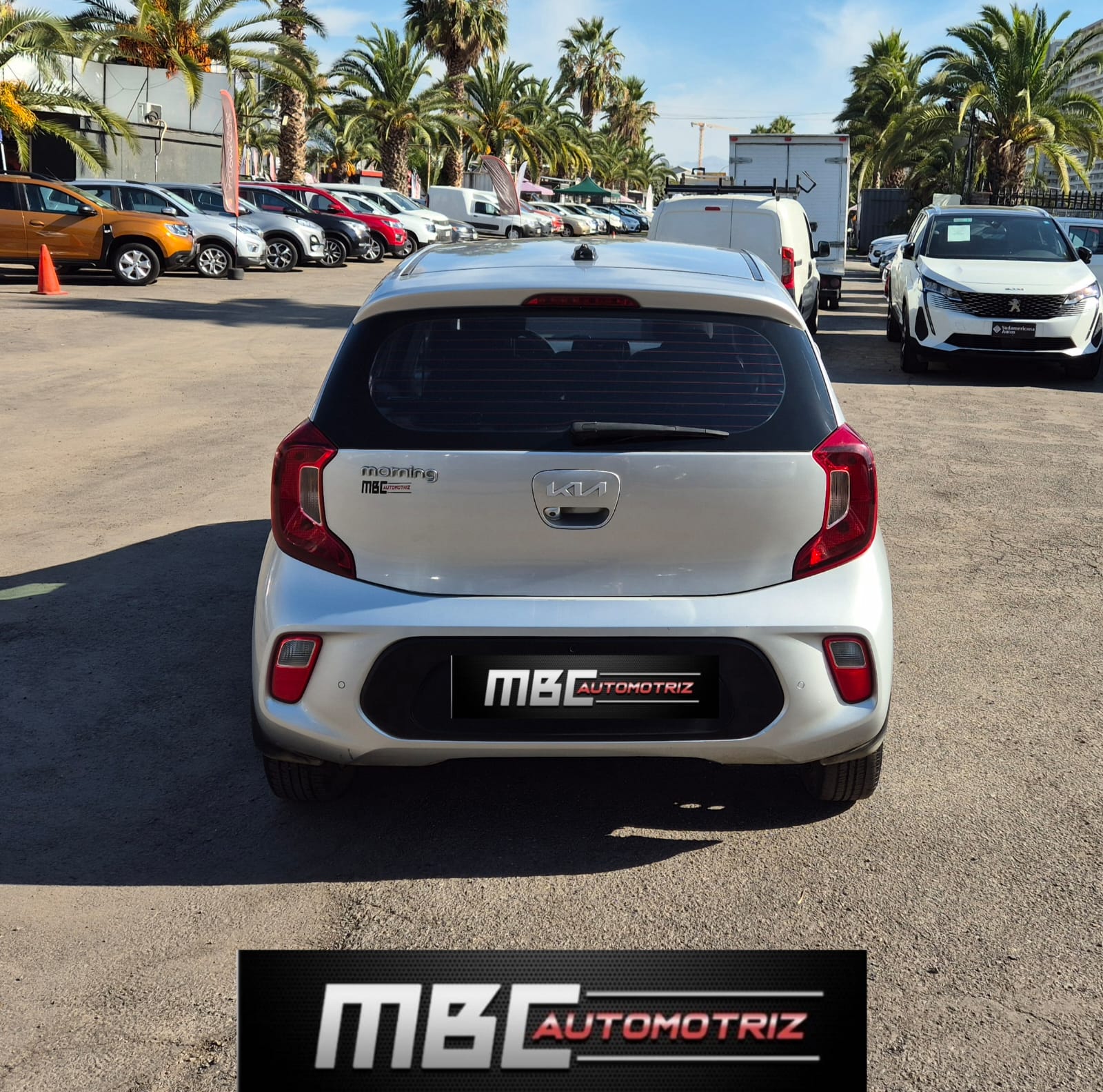 WhatsApp Image 2026-01-27 at 19.13.22