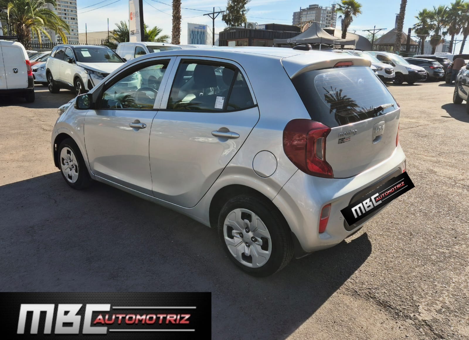 WhatsApp Image 2026-01-27 at 19.13.23